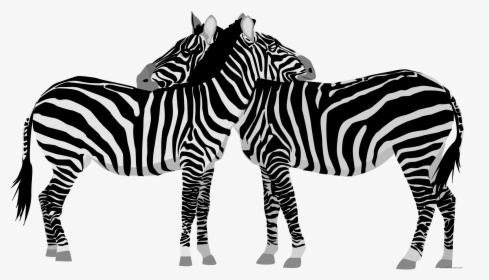 Clipart - Clipart Zebras, HD Png Download, Transparent PNG