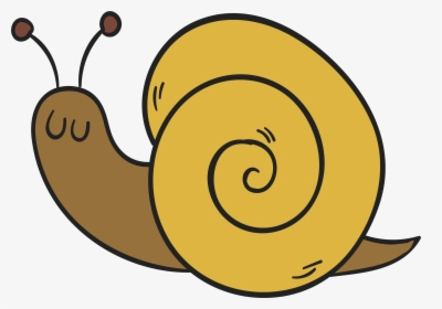 Transparent Snail Png - Snail Drawing Transparent Background, Png Download, Transparent PNG