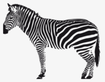 Zebra Png Transparent Images - Zebra Silhouette Png, Png Download, Transparent PNG