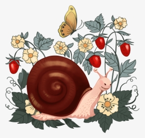 Snail, HD Png Download, Transparent PNG