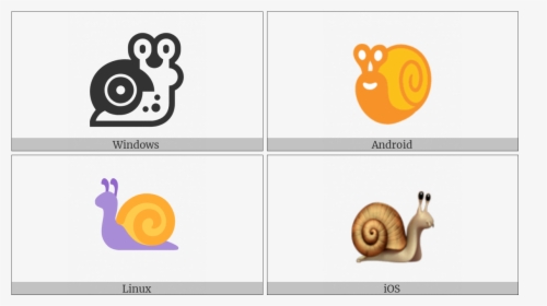 Snail On Various Operating Systems - Lymnaeidae, HD Png Download, Transparent PNG