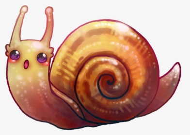 Shrimp - Kawaii Snail, HD Png Download, Transparent PNG