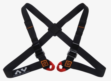Chest-harness Ropes Course, Tree Climbing » Wise - Arch Enemy Logo Tattoo, HD Png Download, Transparent PNG
