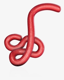 Transparent Gucci Snake Png - Ebola Virus Png, Png Download, Transparent PNG