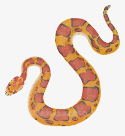 Corn Snake Png - Corn Snake Clip Art, Transparent Png, Transparent PNG