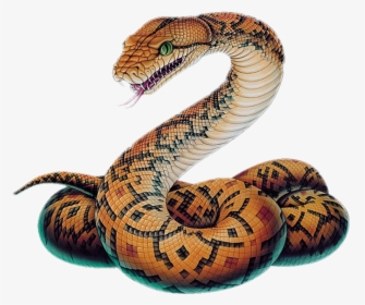 Hd Snake Clipart Boa - Snake Png, Transparent Png, Transparent PNG
