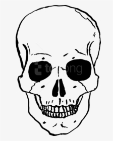 Free Png Skulls Png Images Transparent - Cartoon Skeleton Drawing, Png Download, Transparent PNG