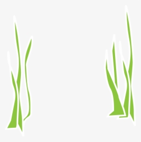 Seaweed, Aqua, Flora, Marine, Reeds, Grass, Underwater - Gambar Ilustrasi Rumput Laut, HD Png Download, Transparent PNG