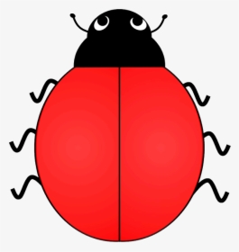 Cartoon Free On Dumielauxepices Net - Ladybird With 4 Spots, HD Png Download, Transparent PNG