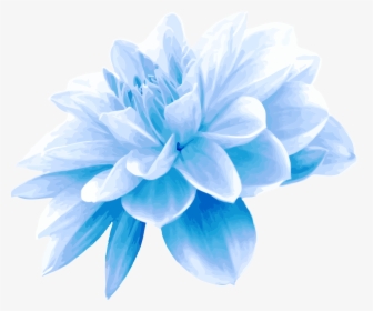 Collection Of Free Flower Transpa Blue On Ubisafe - Light Blue Flowers Png, Transparent Png, Transparent PNG