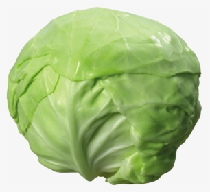 Cabbage No Background, HD Png Download, Transparent PNG