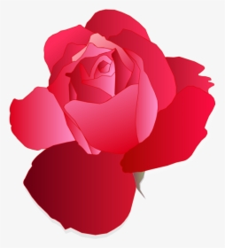 Pink,plant,flower - Rose Blue Vector Free, HD Png Download, Transparent PNG