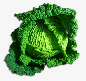 Green Cabbage - Chou Clipart, HD Png Download, Transparent PNG