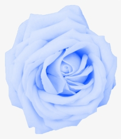Light Blue Flower Png, Transparent Png, Transparent PNG