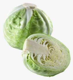 Cabbage Png, Transparent Png, Transparent PNG