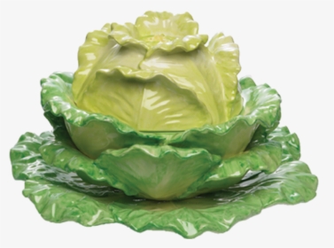 Transparent Cabbage Png - Cabbage, Png Download, Transparent PNG