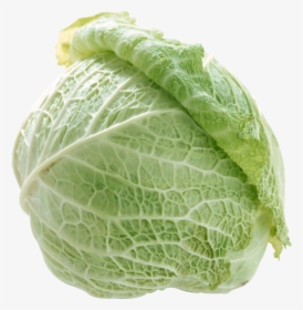 Cabbage Png Free Image Download - 菜, Transparent Png, Transparent PNG