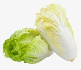 Chinese Cabbage Png , Png Download - Chinese Cabbage Png, Transparent Png, Transparent PNG