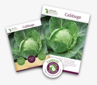 Cabbage Png -gingered Cabbage Slaw - Collard Greens, Transparent Png, Transparent PNG