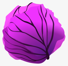 Red Cabbage Clip Arts - Purple Cabbage Clipart, HD Png Download, Transparent PNG