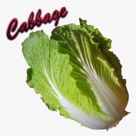 Cabbage Download Png - Collard Greens, Transparent Png, Transparent PNG