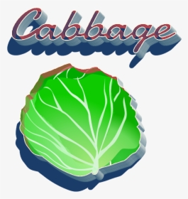 Cabbage Png Clipart - Illustration, Transparent Png, Transparent PNG