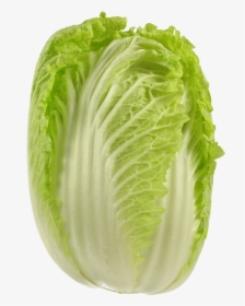 Cabbage Png Picture - Wong Bok Cabbage, Transparent Png, Transparent PNG