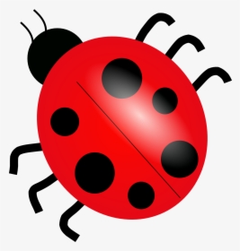 Download Ladybug Png Picture - Clipart Ladybug, Transparent Png, Transparent PNG