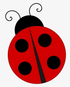 Ladybird Clip Art - Clip Art Lady Bug, HD Png Download, Transparent PNG