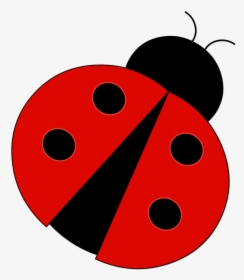 Download Red Ladybug Png Pic - Clip Art Ladybug, Transparent Png, Transparent PNG