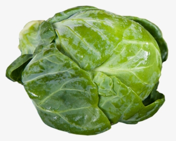 Savoy-cabbage - Brussel Sprout Transparent Background, HD Png Download, Transparent PNG