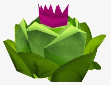 Runescape Cabbage, HD Png Download, Transparent PNG
