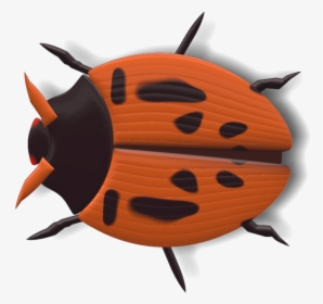 Ladybug Black And Red - Ladybird Beetle, HD Png Download, Transparent PNG