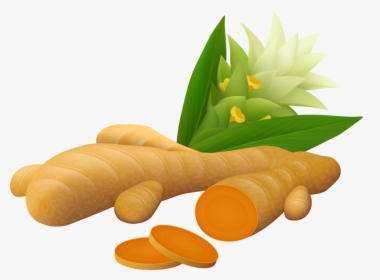 Ginger Vector Spice - Turmeric Vector, HD Png Download, Transparent PNG