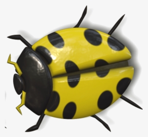 Ladybug Yellow And Black - Yellow Ladybug Png, Transparent Png, Transparent PNG