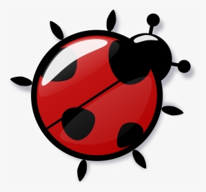 Icon Ladybug Transparent - Png Mariquita, Png Download, Transparent PNG