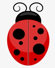 Transparent Ladybug Background - Transparent Background Ladybug Clipart, HD Png Download, Transparent PNG