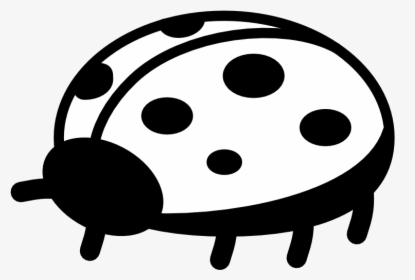 Pix For Black And White Ladybug Clip Art - Lady Bug Black And White, HD Png Download, Transparent PNG