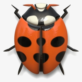 Ladybug Red And Black Head Up - Head Of A Ladybug, HD Png Download, Transparent PNG