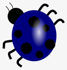 Ladybug Clipart Colorful Blue - Ladybug Clip Art, HD Png Download, Transparent PNG