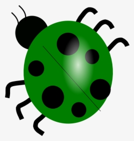 Green Ladybug Clip Art - Ladybug Clip Art, HD Png Download, Transparent PNG