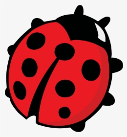 Some States Have The Ladybug As Its Offical Bug - Coloring Pages Of Lady Bird, HD Png Download, Transparent PNG