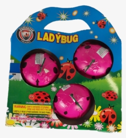 Dm1114 Ladybug - Insect, HD Png Download, Transparent PNG