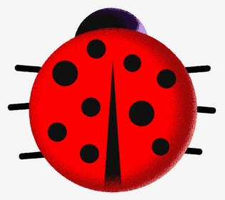 Image Of A Stylized Ladybug - Ladybug, HD Png Download, Transparent PNG