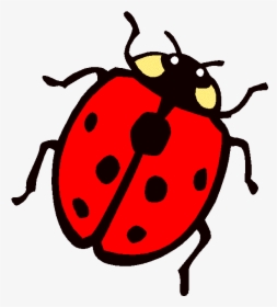 Colouring Page Lady Bug Clipart The Grouchy Ladybug - Example Of Siphoning Insect, HD Png Download, Transparent PNG