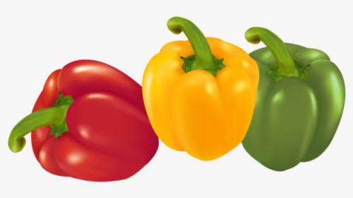 Pepper Png Image Free Download Searchpng - Vegetables, Transparent Png, Transparent PNG