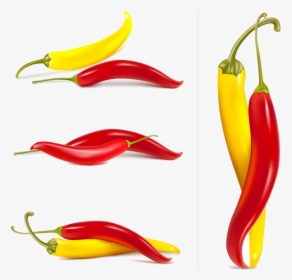 Orange Clipart Chili Pepper - Red Yellow Chilli Peppers, HD Png Download, Transparent PNG
