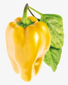Bell Pepper Png Pic - Sweet Yellow Bell Pepper, Transparent Png, Transparent PNG