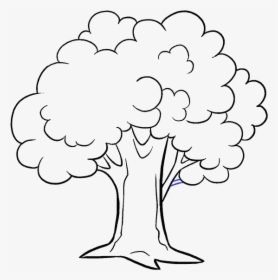 Transparent Baum Clipart - Drawing Picture Of A Tree, HD Png Download, Transparent PNG