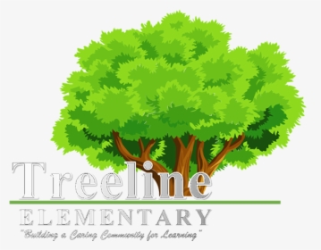 Treeline Elementary School - Tree Clipart, HD Png Download, Transparent PNG